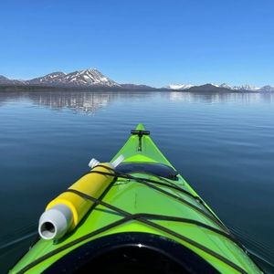 Meet your Posher, Taryn